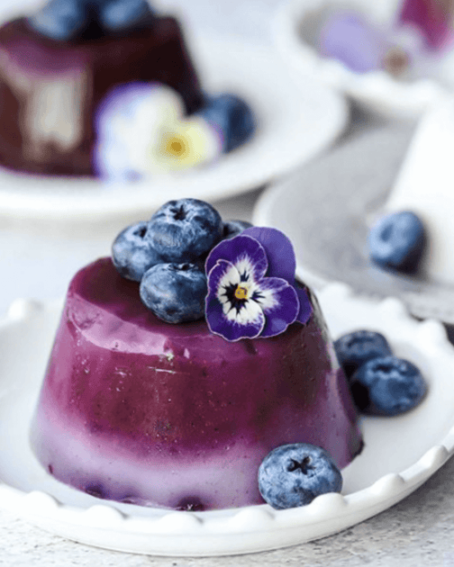 BLUEBERRY & COCONUT PANNA COTTA – Just Blends