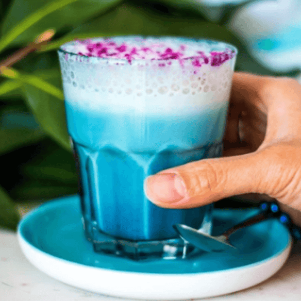 Butterfly Pea Flower Tea - Just Blends Superfoods